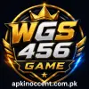 wgs456 game