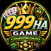 999ha game