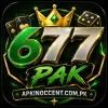 667pak game
